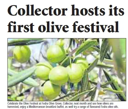 Collector hosts its first olive festival