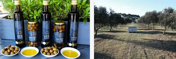 Grandmas Olive Oil